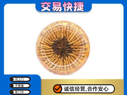 日照高价回收虫草礼盒