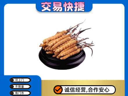日照回收冬虫夏草多少钱每克
